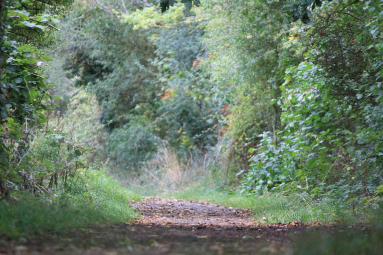 The Salt Way Activity Group in Banbury, Oxfordshire